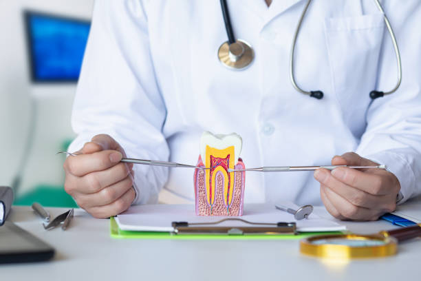 Reliable AR Emergency Dentist Solutions